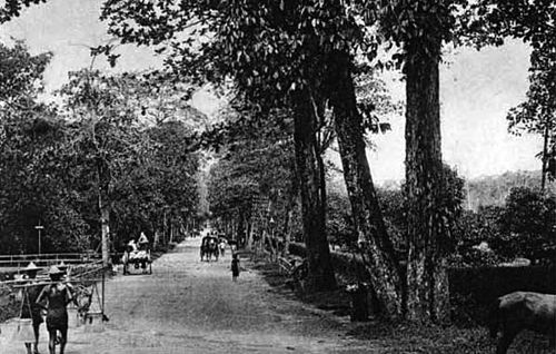 Orchard Road